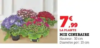 Super U MIX CINERAIRE offre