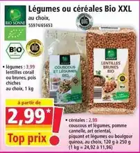 Auchan Gardenstar - coupe branche télescopique offre