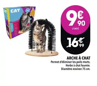 Arche Ă chat
