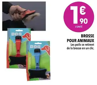 Brosse pour animaux