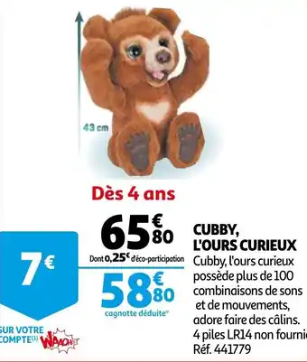 Cubby, l'ours curieux