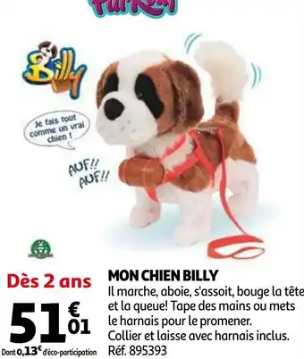 Auchan Mon chien billy offre