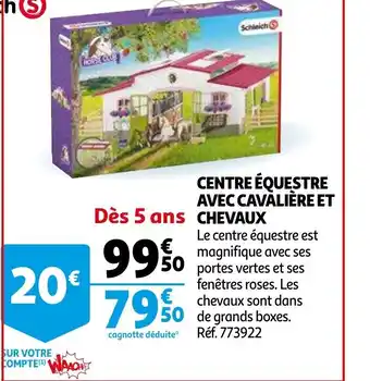 Auchan Centre Équestre avec Cavalière et Chevaux offre