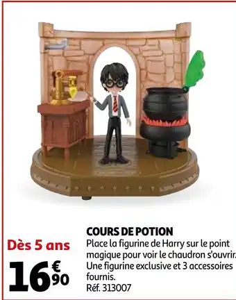 Auchan Cours de Potion offre