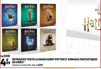 Auchan Retrouvez Toute La Magie Harry Potter et Animaux Fanta offre