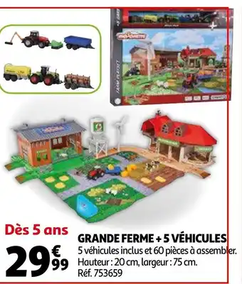 Auchan Grande Ferme +5 Véhicules offre