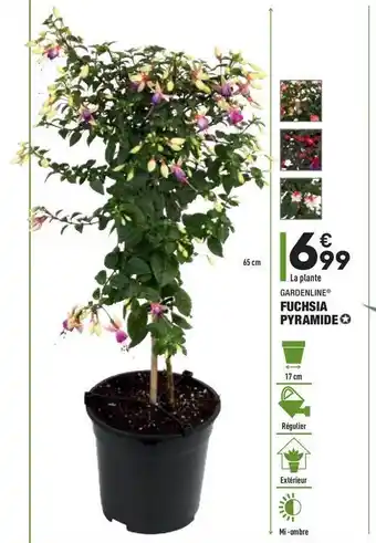ALDI Fuchsia Pyramide Gardenline offre