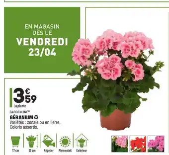 ALDI Géranium Gardenline offre