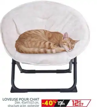 Gifi Loveuse Pour Chat offre