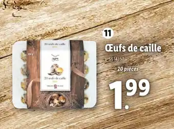 Lidl Œufs de caille offre