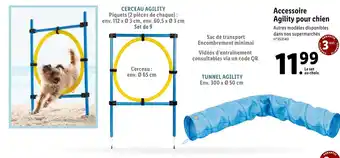 Accessoire Agility pour chien