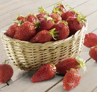 Casino Supermarchés Fraise offre