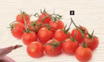 TOMATE CERISE RONDE OU ALLONGÉE