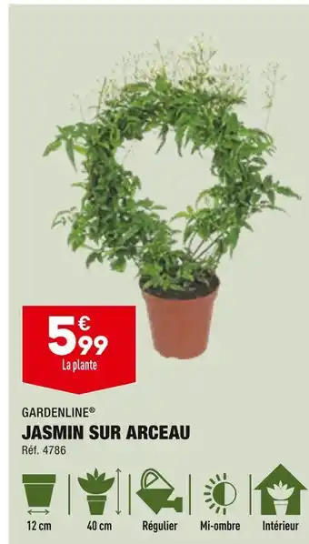 ALDI GARDENLINE JASMIN SUR ARCEAU offre