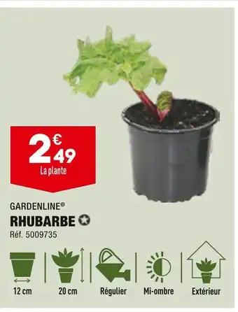 GARDENLINE RHUBARBE