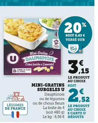 Super U U MINI-GRATINS SURGELES offre