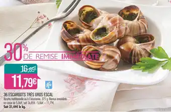 Match ESCAL 36 ESCARGOTS TRÈS GROS offre