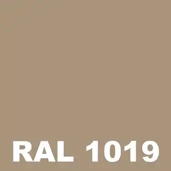 Peinture Mur Interieur - Metaltop - Beige gris - RAL 1019 - Pot 5L
