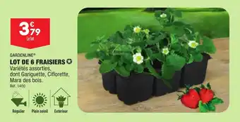 ALDI GARDENLINE® LOT DE 6 FRAISIERS offre