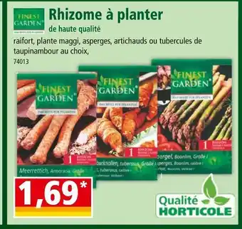 Norma FINEST GARDEN Rhizome à planter de haute qualité offre