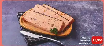 Mousse forestière supérieure