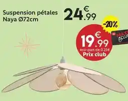 Lidl Orchidée 2 tiges offre