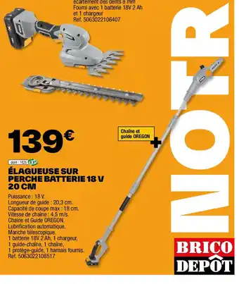 Brico Dépôt ÉLAGUEUSE SUR PERCHE BATTERIE 18 V 20 CM offre
