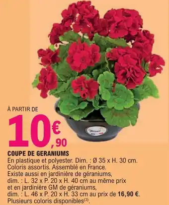 E.Leclerc COUPE DE GERANIUMS offre