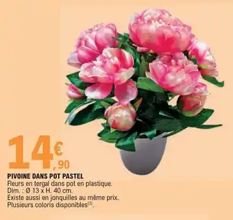 E.Leclerc PIVOINE DANS POT PASTEL offre