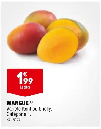 ALDI MANGUE offre