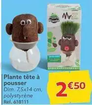 Gifi Plante tête à pousser offre