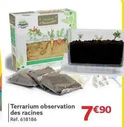 Gifi Terrarium observation des racines offre