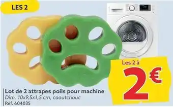 Gifi Lot de 2 attrapes poils pour machine offre
