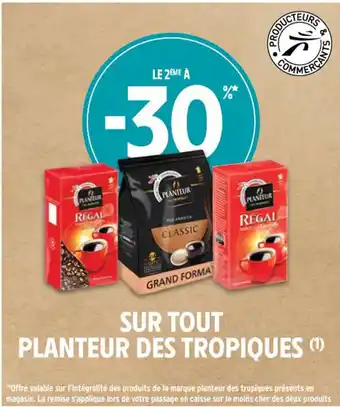 SUR TOUT PLANTEUR DES TROPIQUES (1)