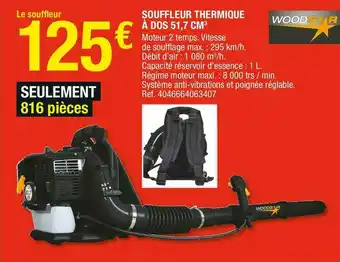 Woodstar souffleur thermique à dos 51,7 cm3