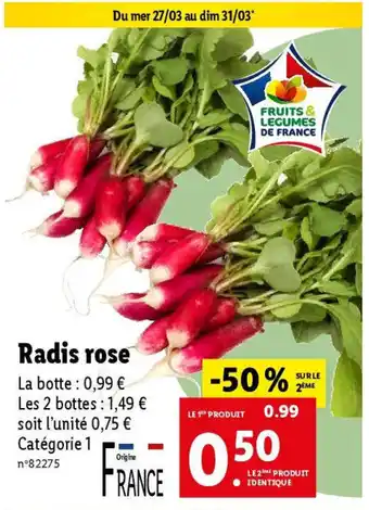 Lidl Radis rose offre