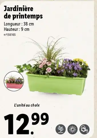 Lidl Jardinière de printemps offre