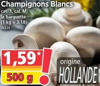Norma Champignons blancs offre