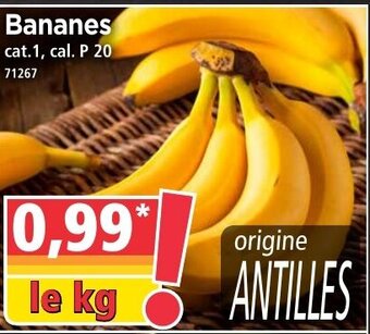 Norma Bananes offre