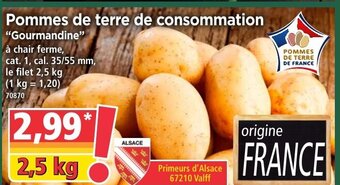 Norma Pommes de terre de consommation offre