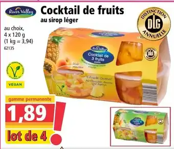 Norma Ccktail de fruits offre