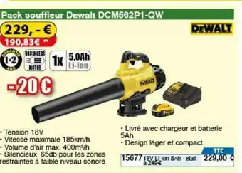 Pack Souffleur Dewalt DCM562P1-QW