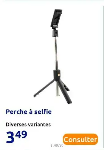 Action Perche à selfie offre