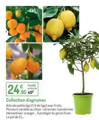 Botanic Collection D'agrumes offre