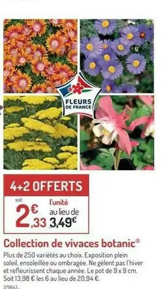 Botanic Collection De Vivaces Botanic® offre
