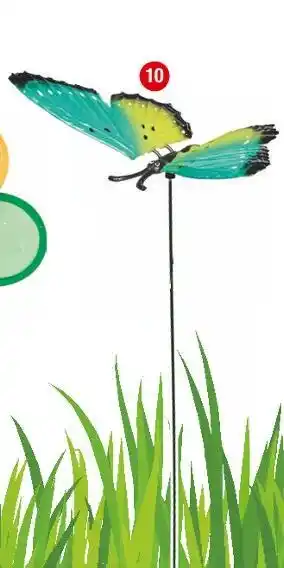 Cora x Carrefour Pic Jardin Papillon offre