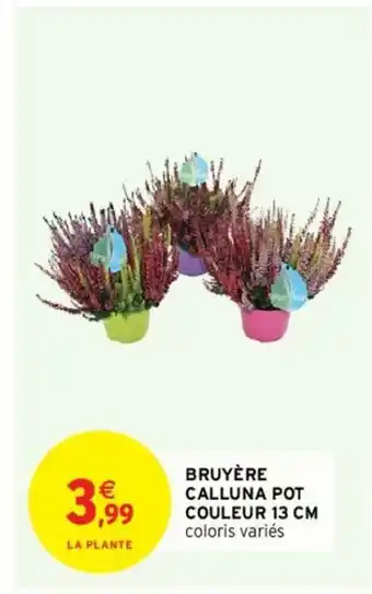 Intermarché Bruyère Calluna Pot Couleur 13cm offre