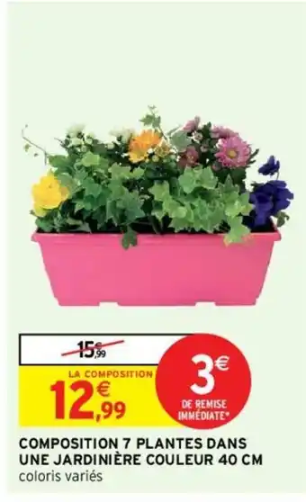 Intermarché Composition 7 Plantes Dans Une Jardinière Couleur 40cm offre