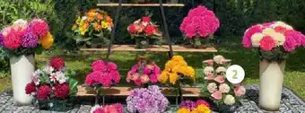 Fleurs Artificielles