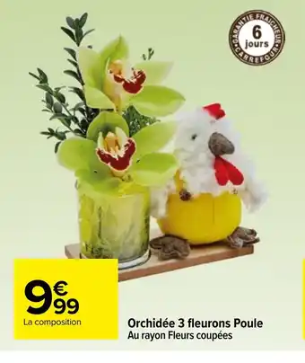 Carrefour Orchidée 3 fleurons Poule offre